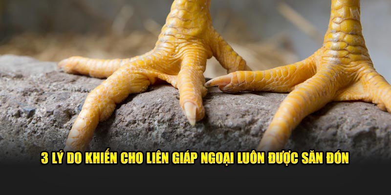 3 lý do khiến cho liên giáp ngoại luôn được săn đón
