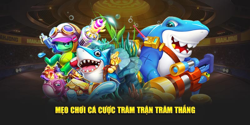 Mẹo chơi cá cược đỉnh cao trăm trận trăm thắng