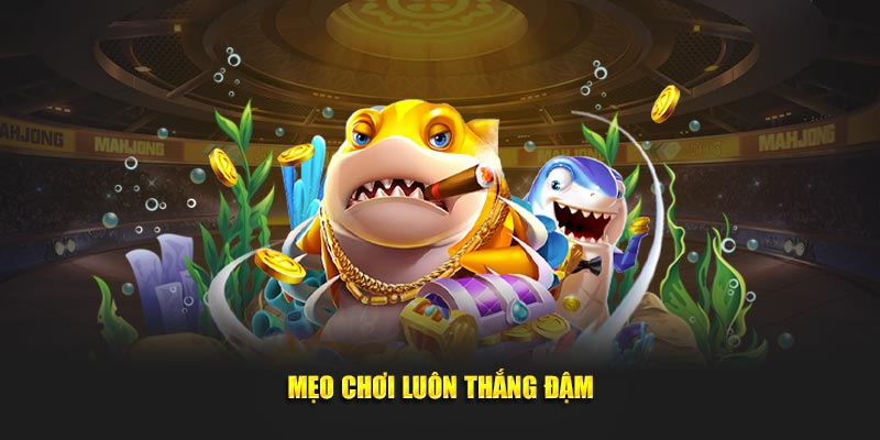 Mẹo chơi luôn thắng đậm