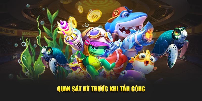 Quan sát kỹ trước khi tấn công