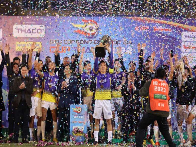Giới thiệu chung về giải bóng đá cấp quốc gia Việt Nam - V-League