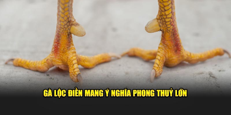 Gà lộc điền mang ý nghĩa phong thuỷ lớn