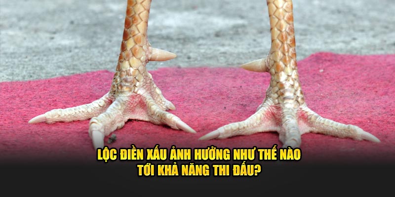 Lộc điền xấu ảnh hưởng như thế nào tới khả năng thi đấu?