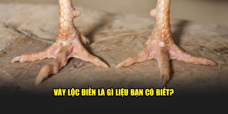 Vảy lộc điền là gì liệu bạn có biết?