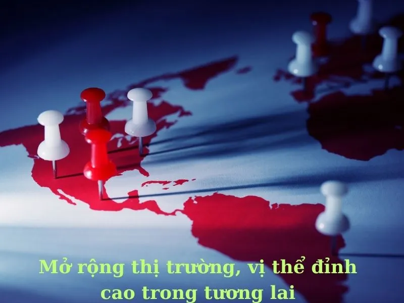 Mở rộng thị trường, vị thể đỉnh cao trong tương lai